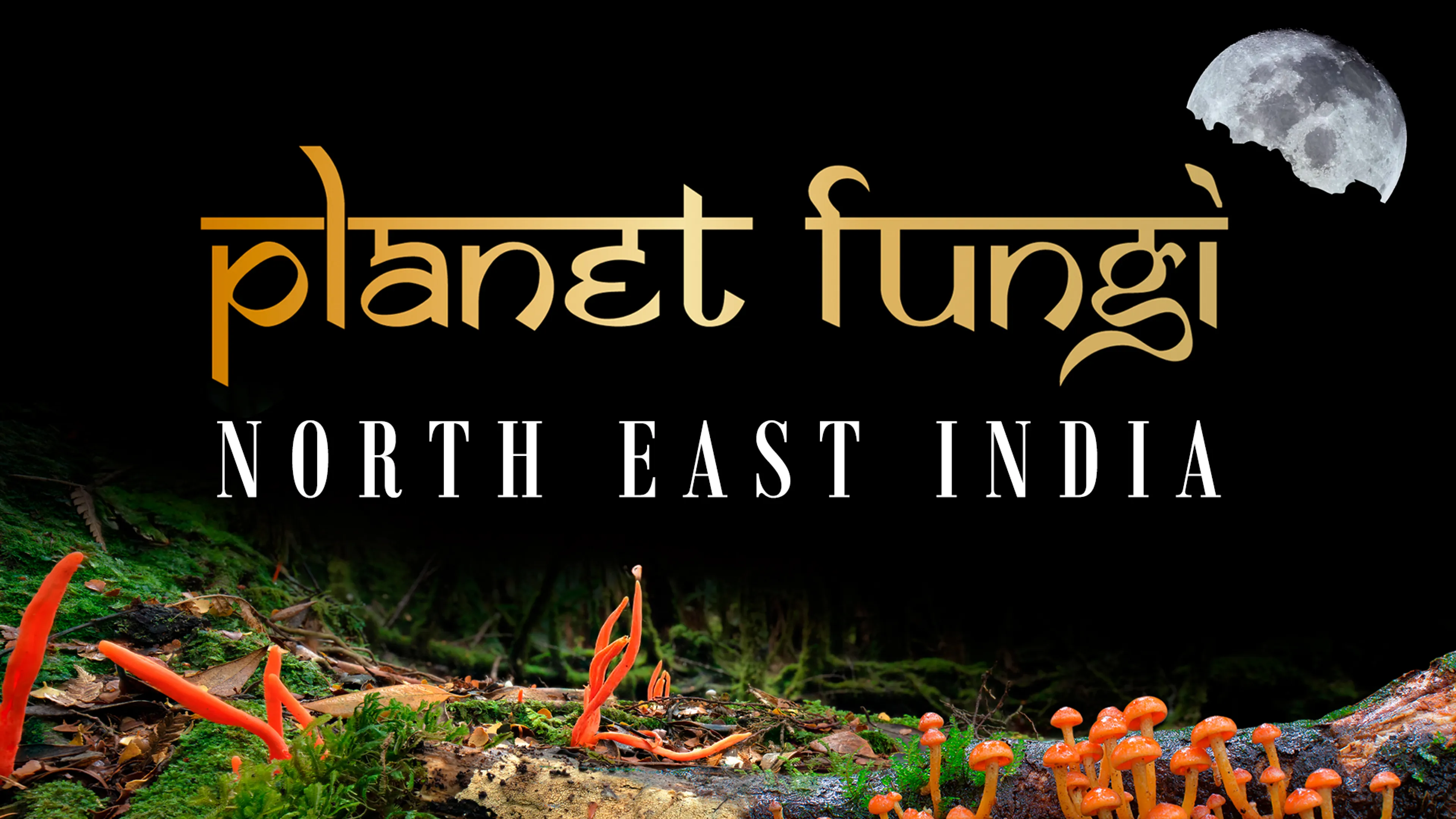 Planet Fungi: North East India poster